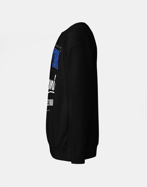 DungeonForward - The Family - Hampton University (HU) - Sweatshirt - DungeonForward