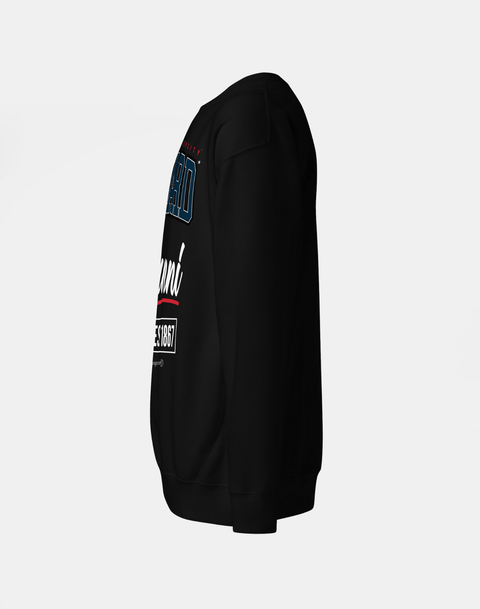 DungeonForward - The Family - Howard University - Sweatshirt - DungeonForward