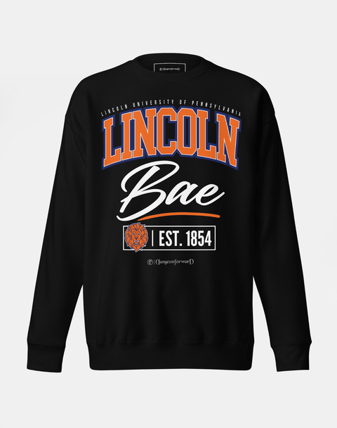 DungeonForward - The Family - Lincoln University (PA) (LUPA) - Sweatshirt - DungeonForward
