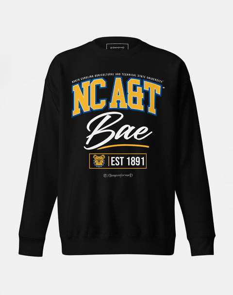 DungeonForward - The Family - North Carolina A&T State University (NCAT SU) - Sweatshirt - DungeonForward