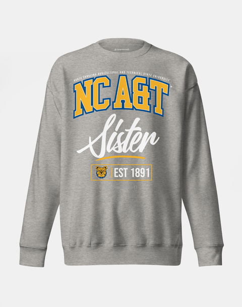 DungeonForward - The Family - North Carolina A&T State University (NCAT SU) - Sweatshirt - DungeonForward