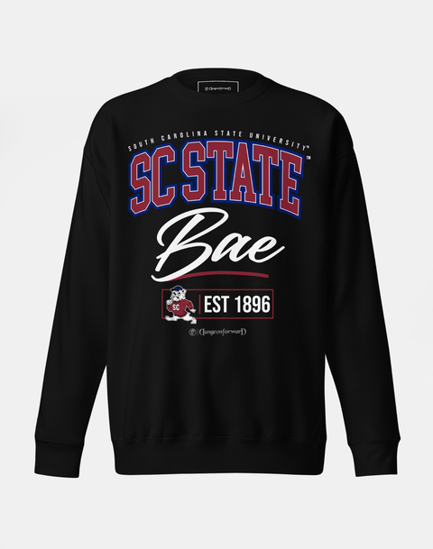DungeonForward - The Family - South Carolina State University (SCSU) - Sweatshirt - DungeonForward