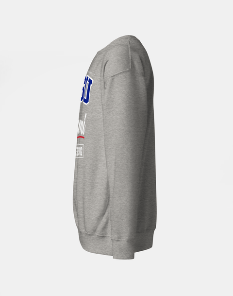 DungeonForward - The Family - Tennessee State University (TSU) - Sweatshirt - DungeonForward