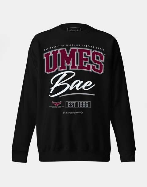 DungeonForward - The Family - University of Maryland Eastern Shore (UMES) - Sweatshirt - DungeonForward