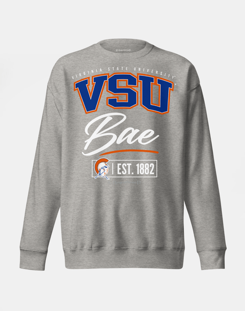 DungeonForward - The Family - Virginia State University (VSU) - Sweatshirt - DungeonForward