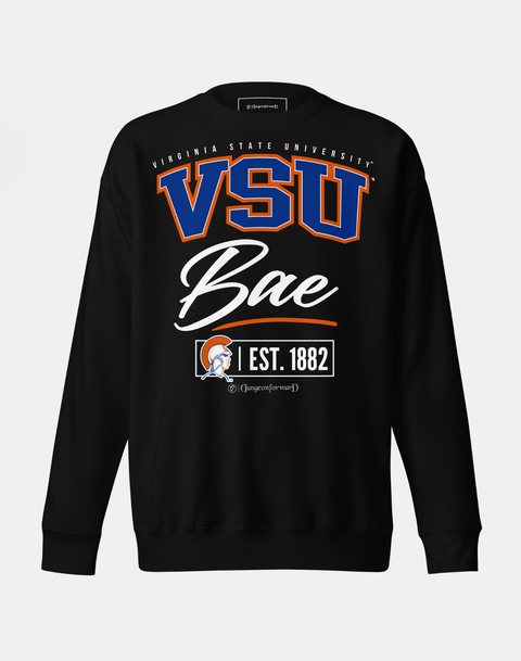DungeonForward - The Family - Virginia State University (VSU) - Sweatshirt - DungeonForward