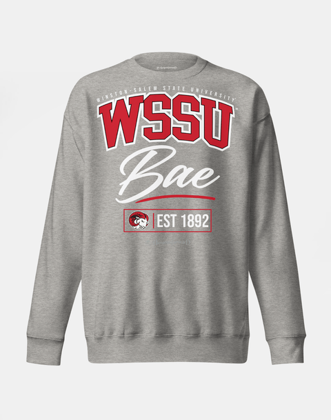DungeonForward - The Family - Winston - Salem State University (WSSU) - Sweatshirt - DungeonForward