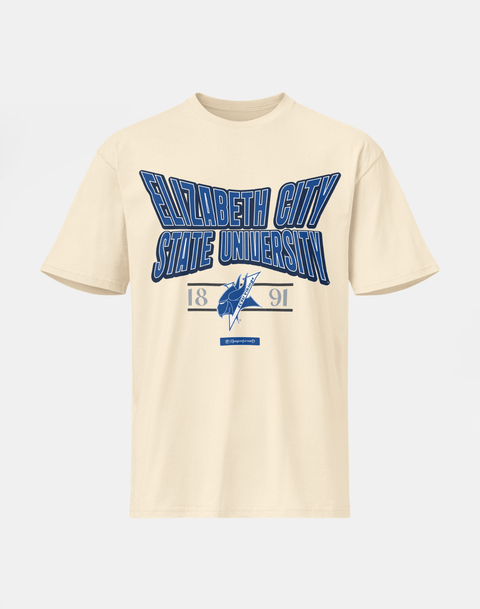 Fayetteville State University - HBCU - Stretch Logo Tshirt - DungeonForward
