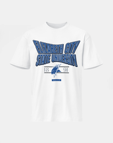 Fayetteville State University - HBCU - Stretch Logo Tshirt - DungeonForward
