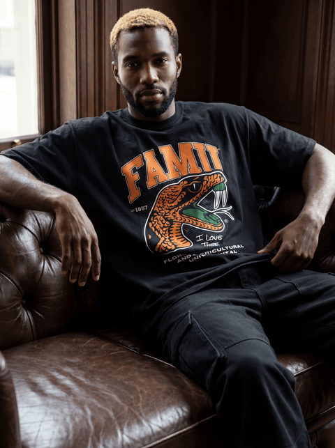 Florida A&M University - FAMU T-shirt - DungeonForward