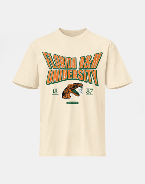 Florida A&M University - HBCU - Stretch Logo Tshirt - DungeonForward