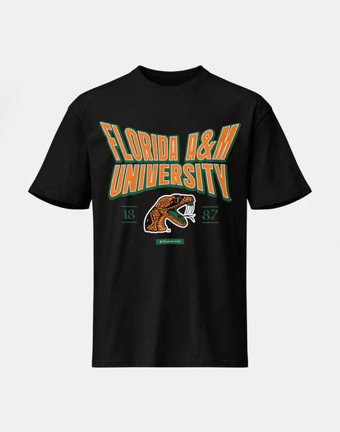 Florida A&M University - HBCU - Stretch Logo Tshirt - DungeonForward