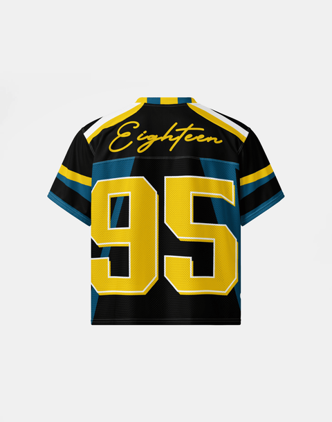 Fort Valley State University - Phenom HBCU Box Jersey - DungeonForward