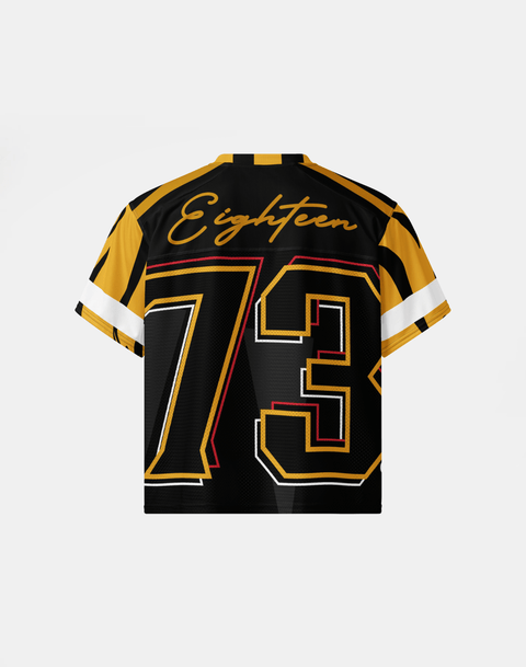 University of Arkansas Pine Bluff - Phenom HBCU Box Jersey - DungeonForward