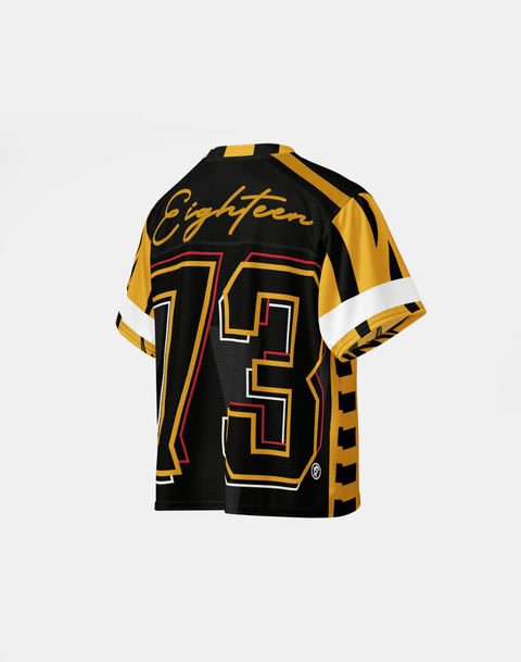 University of Arkansas Pine Bluff - Phenom HBCU Box Jersey - DungeonForward