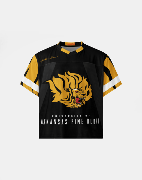 University of Arkansas Pine Bluff - Phenom HBCU Box Jersey - DungeonForward