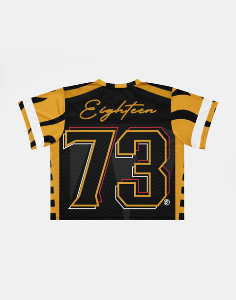 University of Arkansas Pine Bluff - Phenom HBCU Box Jersey - DungeonForward