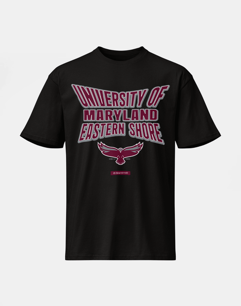 University of Maryland Eastern Shore - HBCU - Stretch Logo Tshirt - DungeonForward